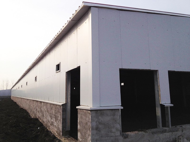 Cooperativa de pollos Beinongda